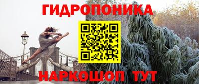 МДПВ Бийск
