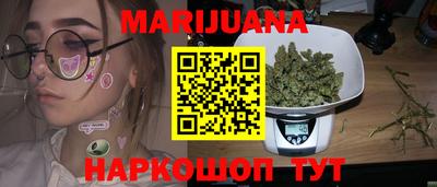 МДПВ Бийск
