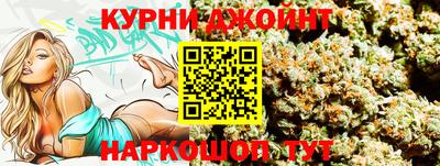 МДПВ Бийск