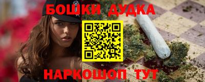МДПВ Бийск