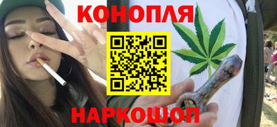 МДПВ Бийск