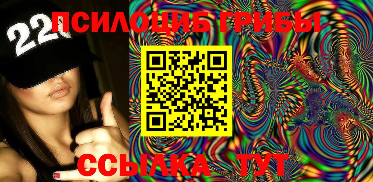 Галлюциногенные грибы Psilocybine cubensis  Вход с VPN  Псилоцибиновые грибы мухоморы  Кириши 